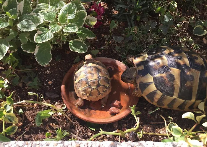 Appartement Val 2 Petrcane