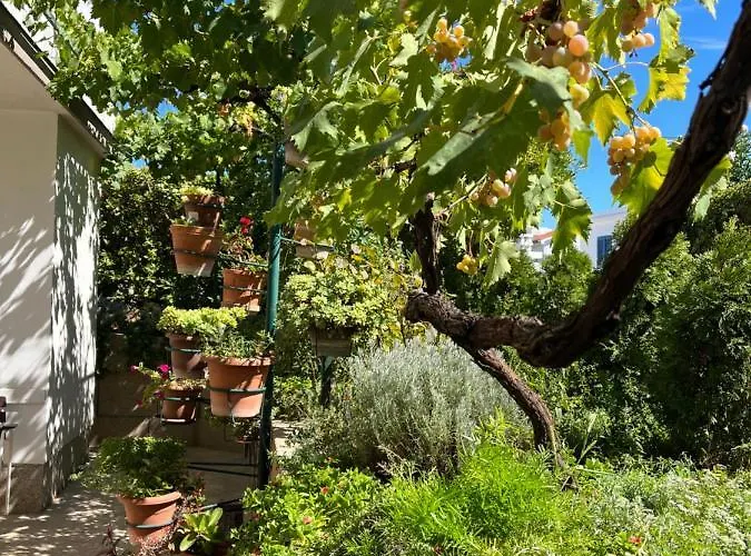 Appartement Val 2 Petrcane