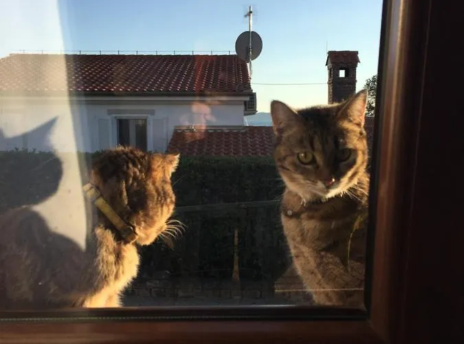 Val 2 Appartement Petrčane