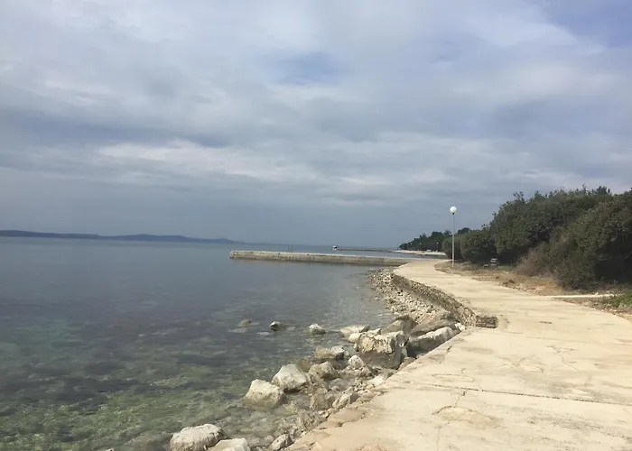 Val 2 * Петрчане