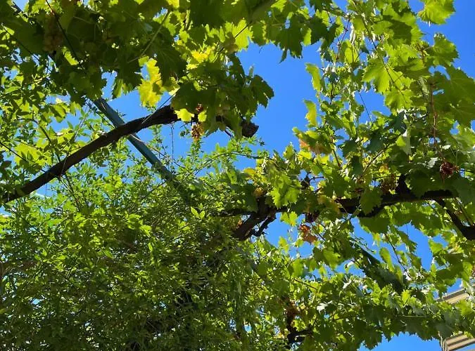 Appartement Val 2 Petrčane